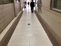 -河南省人民医院(院本部)
