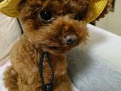 -瑞虹新天地月亮湾