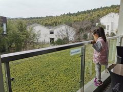 -苏州环秀晓筑养生度假村