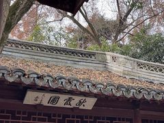 -秋霞圃