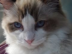 -乐宠宠物店(世纪金源店)