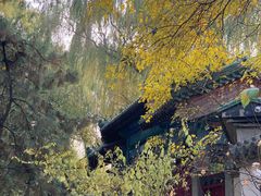 -北陵公园