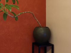 -福院