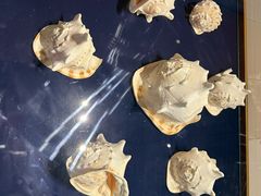 -青岛贝壳博物馆