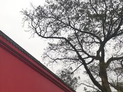 -峨眉山报国寺