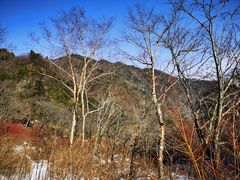 -秦岭风景区