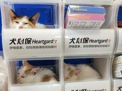 -芭比堂动物医院·心脏专科·夜诊·吉雅分院