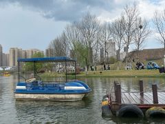 -洋湖国家湿地公园