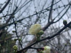 -汇龙潭