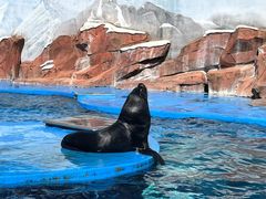 -上海海昌海洋公园