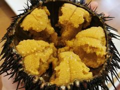 -海胆小馆(东北水饺·春柳店)