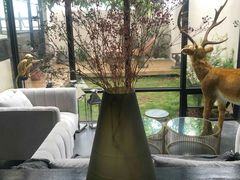 -南山植物园