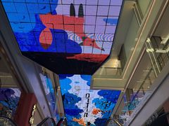 -振鼎鸡(天钥桥路店)