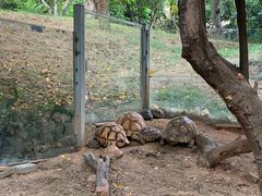 -泉州海丝野生动物世界