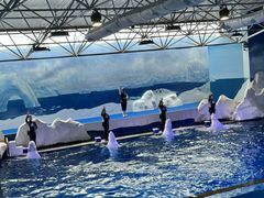 -秦皇岛乐岛海洋王国