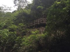 -永泰中国云顶