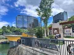 -绿城千岛湖喜来登度假酒店