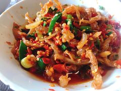 -壹盏灯(惠农店)