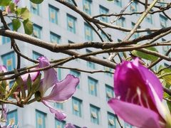 -天河体育中心
