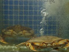 -盱眙小龙虾(天虹店)