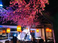 大堂-荷塘秋月·本帮江浙菜(国权路店)