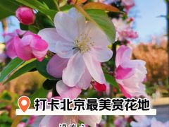 -元大都城垣遗址公园