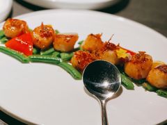 -粤凤佬