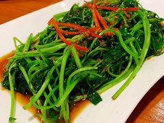 芥兰炒牛肉-金穗园·砂锅粥.醉鸡煲火锅(长寿路店)