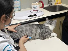 -谐和益家动物医院·免疫绝育·血液透析·宠保定点医院(高新伊藤分院)