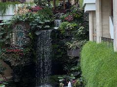 -白天鹅宾馆-宏图府餐厅