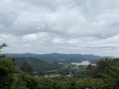 -大姆山草场