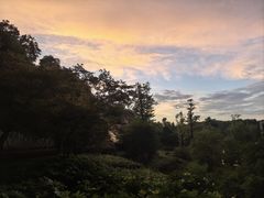 -咖啡厅自助餐厅(贵阳中天凯悦酒店)