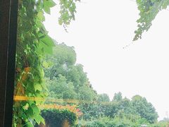 -潮府馆·非遗潮州菜·港式点心(世纪公园店)
