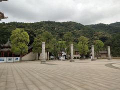 景点-阳台山森林公园
