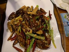 -翠花老菜饺子馆(七宝店)