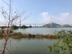 -芒洲湿地公园