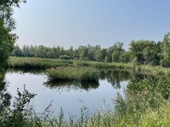 -野鸭湖国家湿地公园