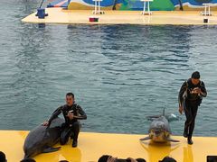 -秦皇岛乐岛海洋王国