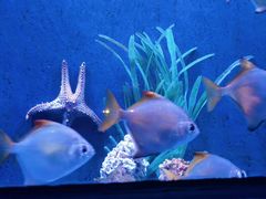 -沈阳海洋探索中心