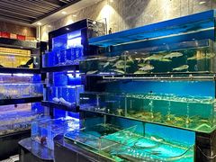 -丰鲤楼•闽南茶楼(仟禧汇店)