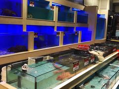 水产区-宜宾海鲜酒家·三十年老字号