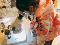 -陕西自然博物馆