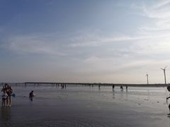 -碧海金沙