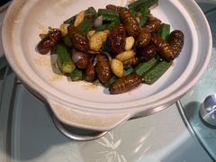 秋葵烧蚕蛹-来哥菜馆·大厨烹小鲜