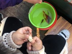 -白塘生态植物园