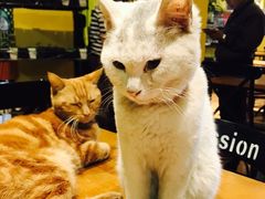 -密讯馆密室逃脱&换装侦探剧(环球港旗舰店)