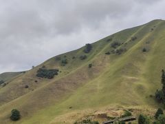 -新疆那拉提国家旅游度假区