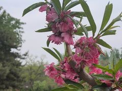 -元大都城垣遗址公园