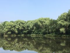 -溱湖国家湿地公园