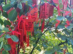 -终南山南五台景区